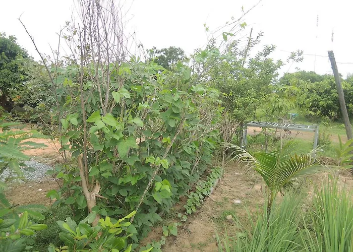Bunyong Siem Reap
