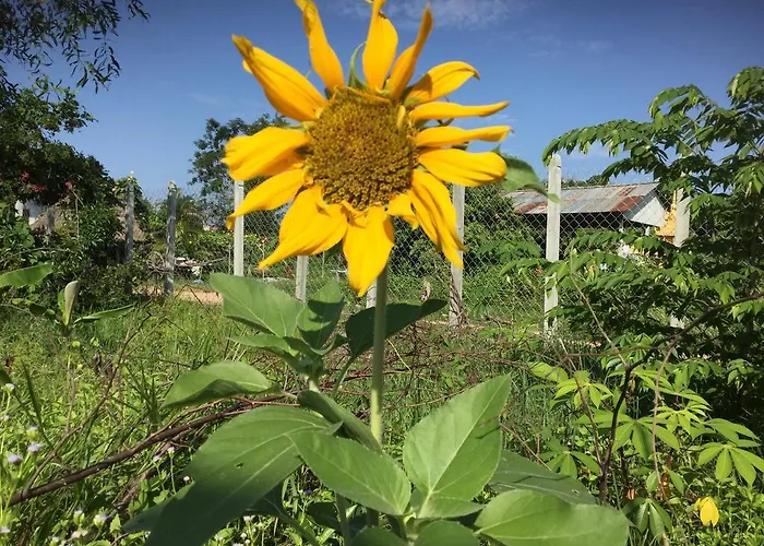 Kwatera prywatna Bunyong Siem Reap